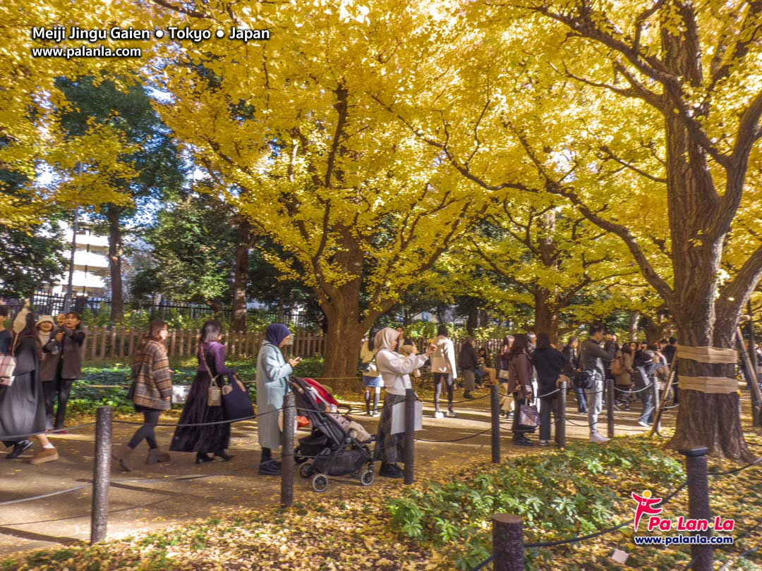 Meiji Jingu Gaien